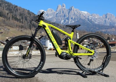 Focus ebike