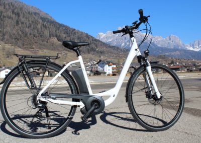 ebike Kalkhoff