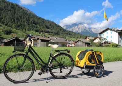 noleggio bici con carrellino porta cani Cicli Bettega Primiero