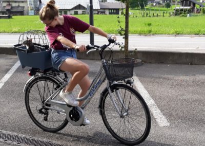 noleggio bici con cestino porta cani Cicli Bettega Primiero