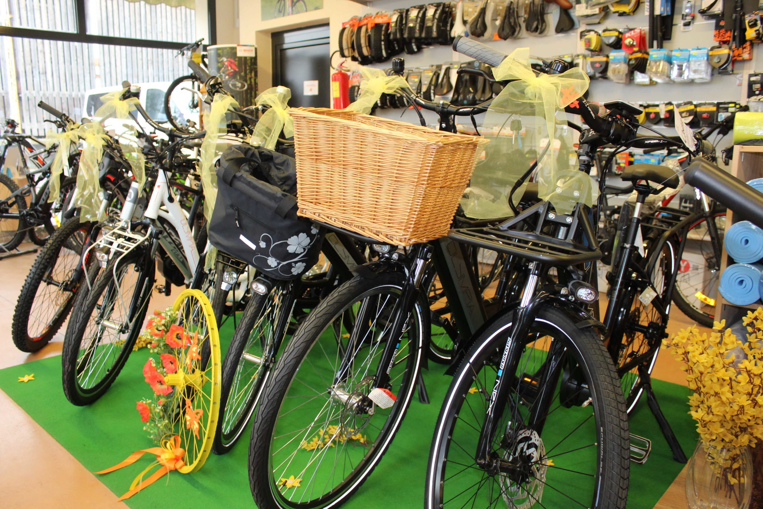 noleggio biciclette a fiera di primiiero