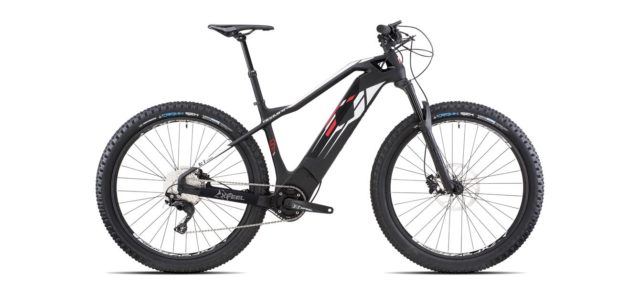 Bici elettriche