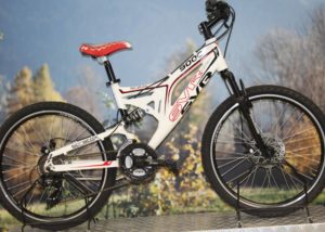 Biciclette usate e occasioni Cicli Bettega « Primiero San Martino