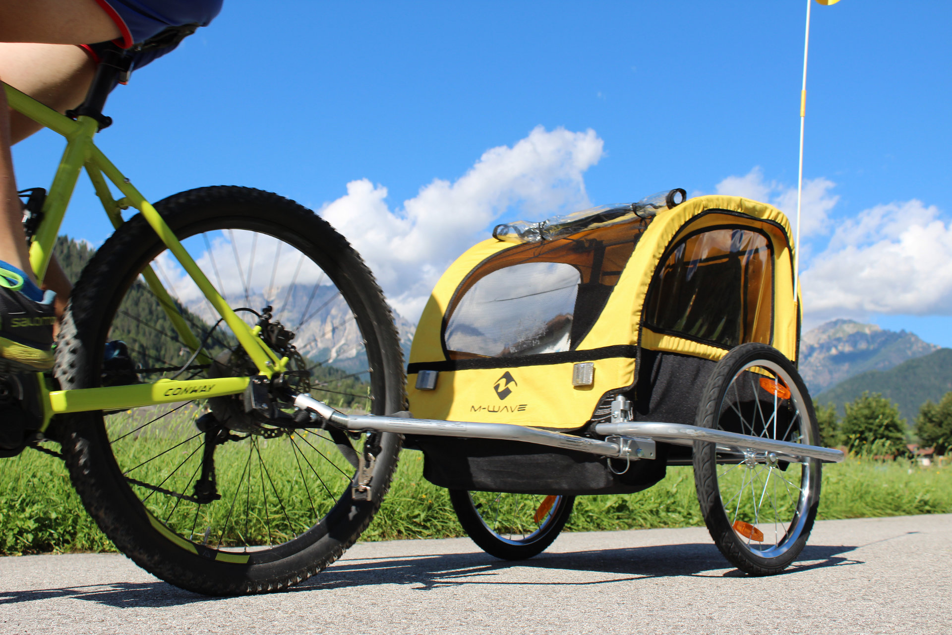 affitto bicicletta con carretto x cani torino