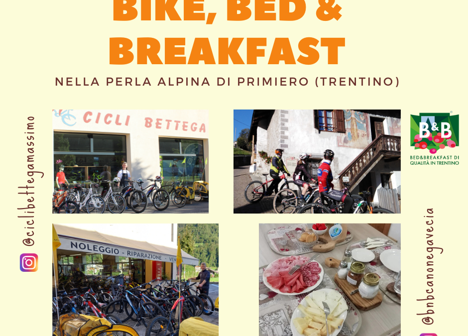 Esperienza in ebike tra le Dolomiti