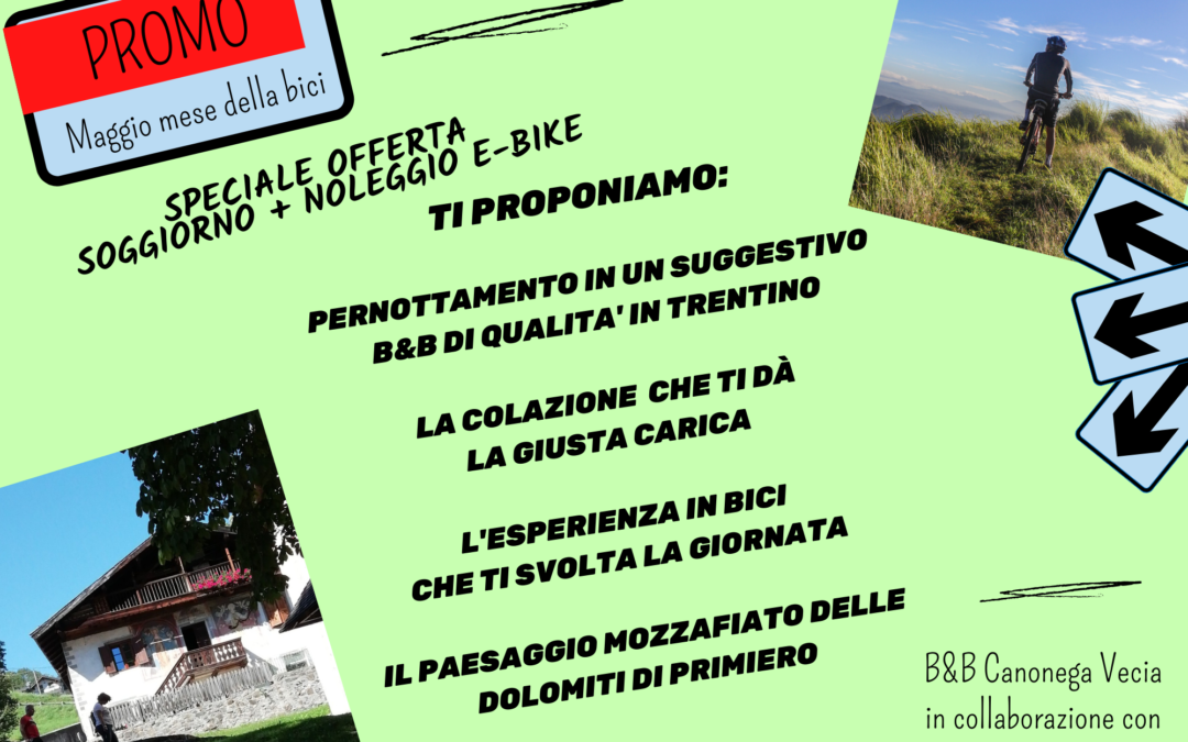 Esperienza in ebike tra le Dolomiti