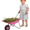 carriola Rolly Toys rosa