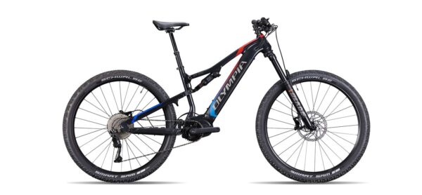 Ebike Olympia EX 900 Trail