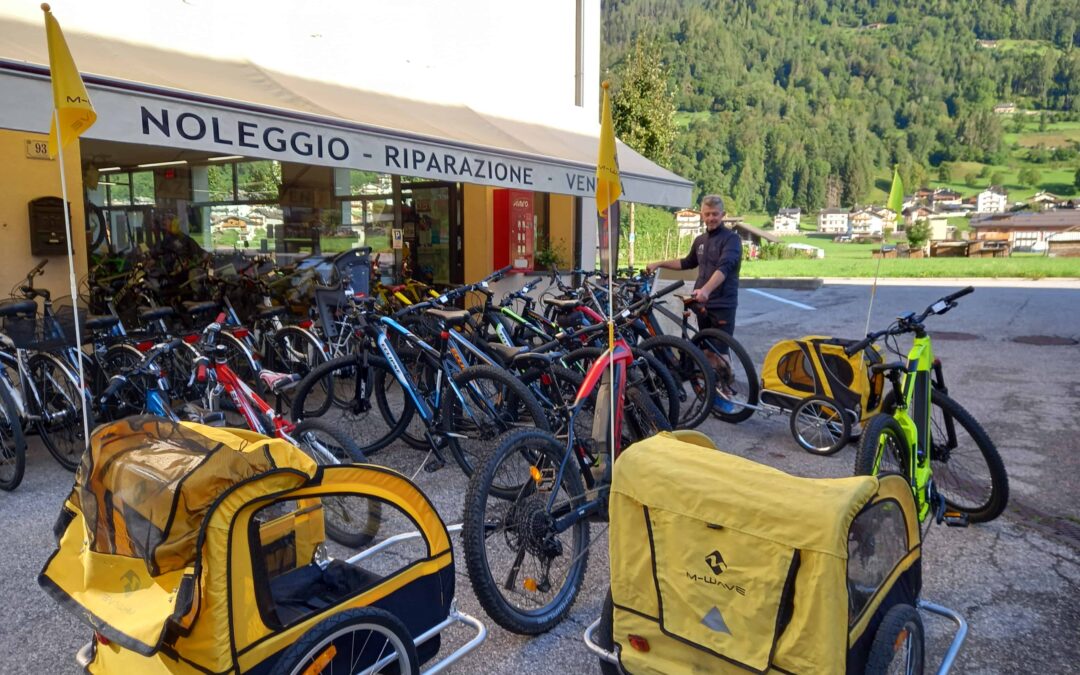 Ebike usate di fine noleggio