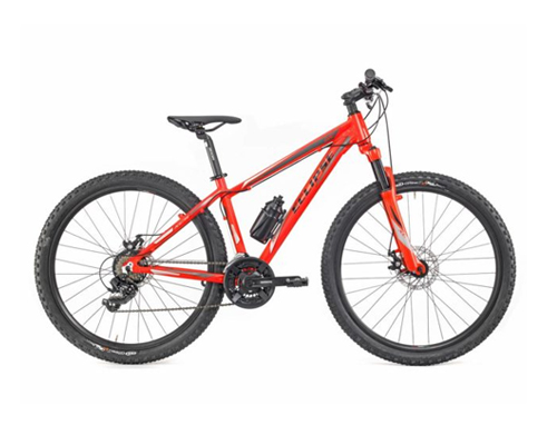 Bici muscolari