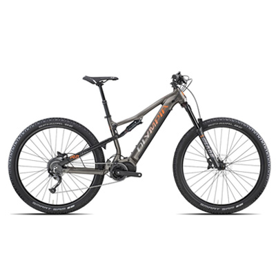Noleggio Ebike