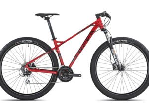 MTB Olympia Cobra 24s