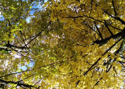 Autunno tutti in bici in Primiero