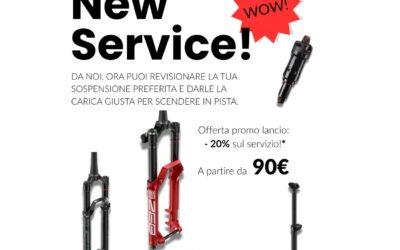 Servizio revisione sospensioni