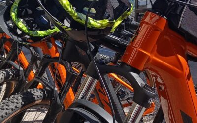 Noleggio bici personalizzato in Primiero