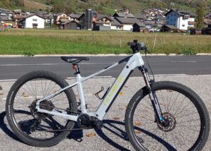 Ebike Olympia Isos usata